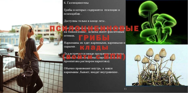 mdpv Абдулино