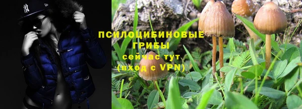 круглые Нягань
