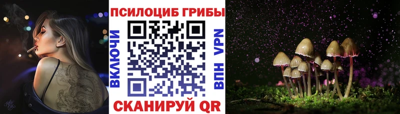 где найти наркотики  kraken tor  Галлюциногенные грибы мухоморы  Архангельск 
