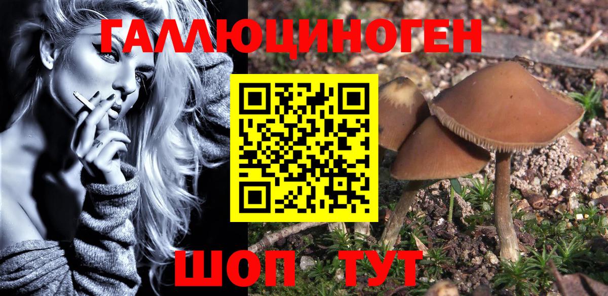 Архангельск  Галлюциногенные грибы MAGIC MUSHROOMS  Вход с VPN 