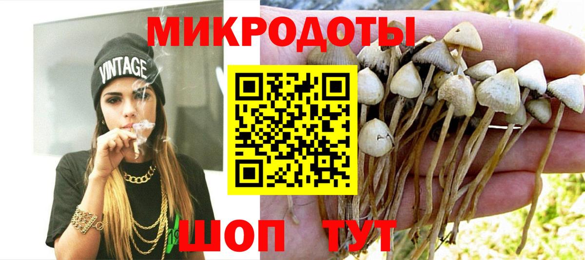Псилоцибиновые грибы Magic Shrooms Архангельск